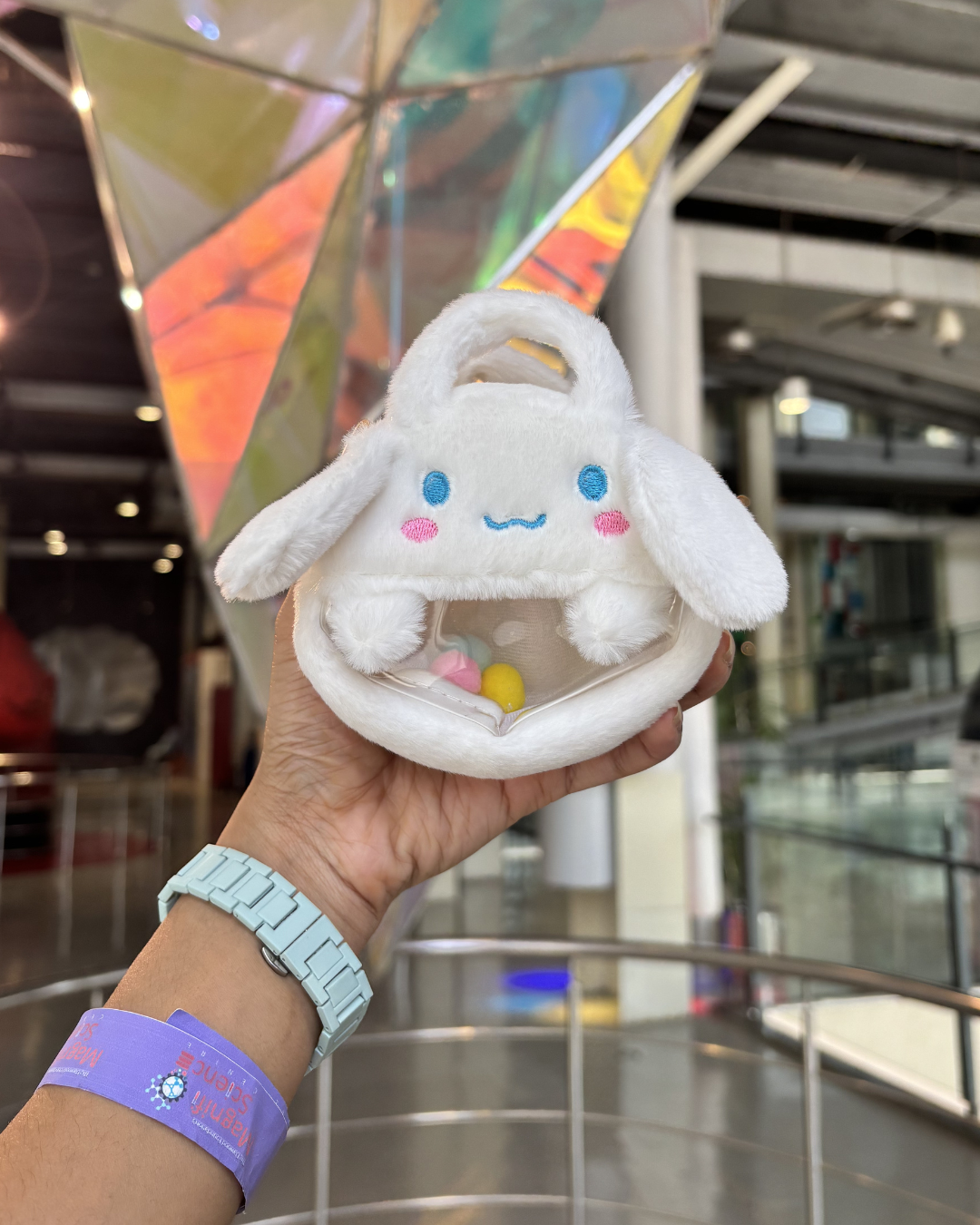 Sanrio Plush Coin Pouch Keychain