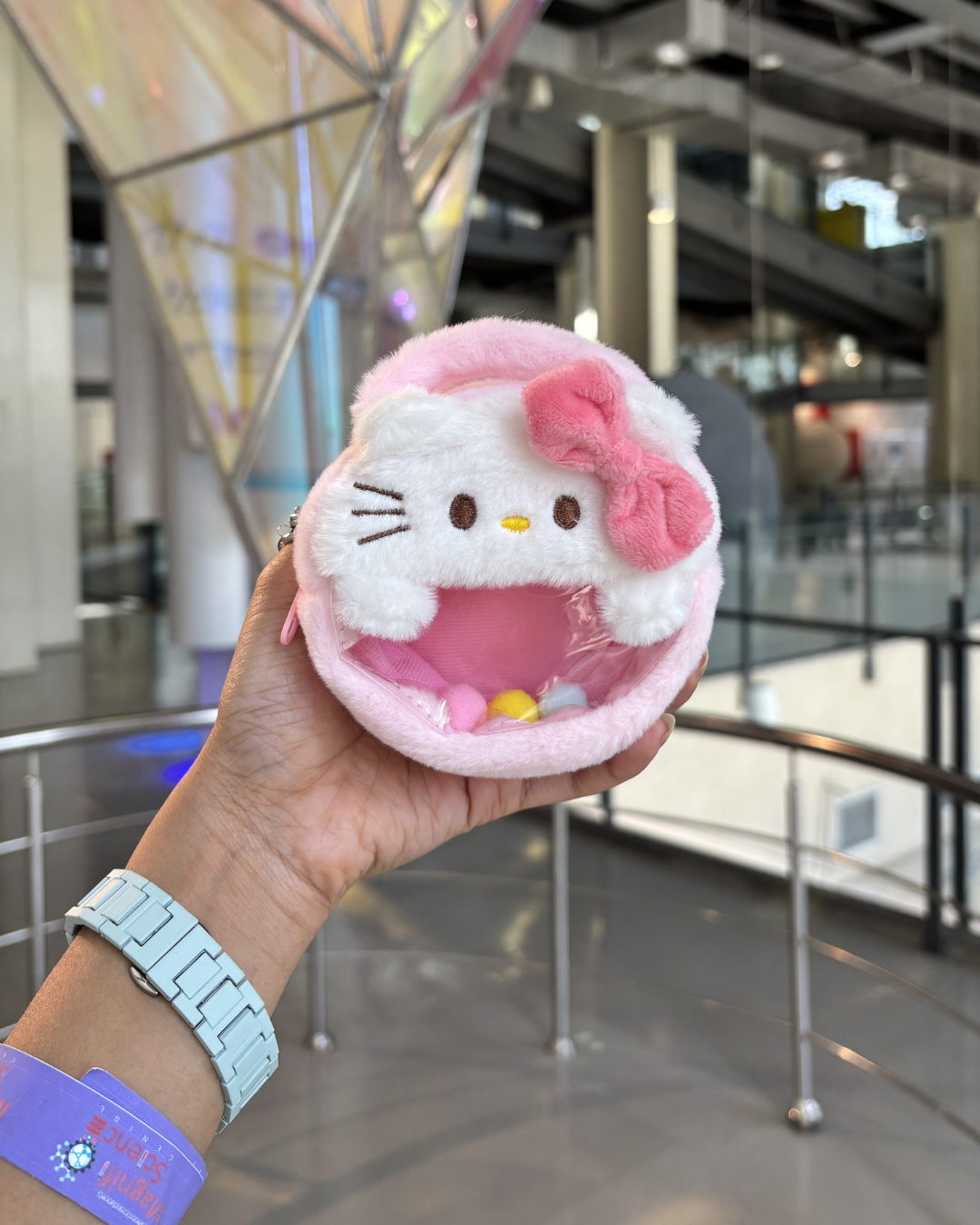 Sanrio Plush Coin Pouch Keychain
